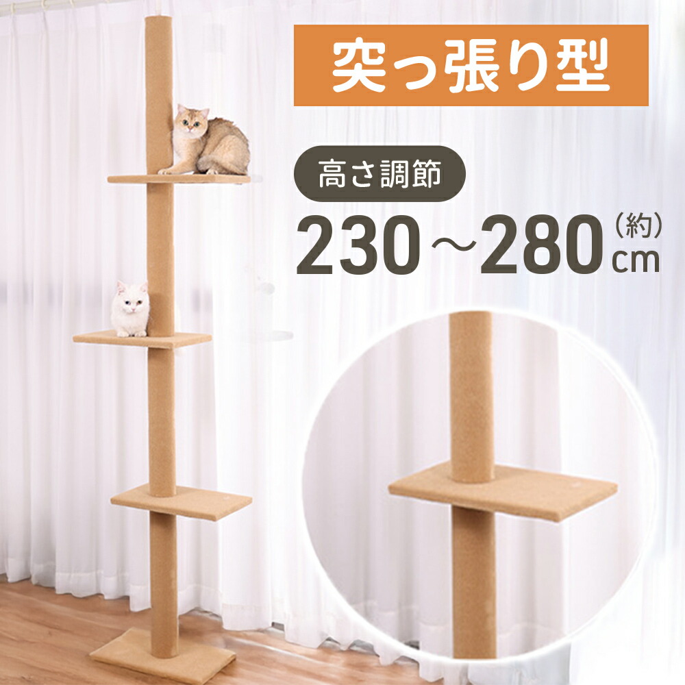 楽天市場】[500円OFFｸｰﾎﾟﾝ/家電まつり]ボンビ キャットポール