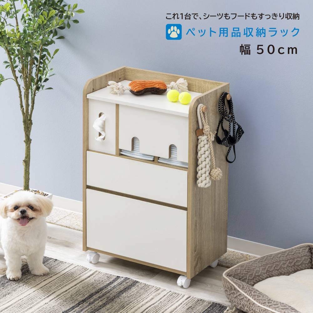 夏家電特集