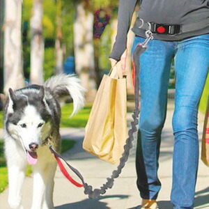 楽天市場 リード 犬 伸縮 ハンズフリー 腰に巻けるリード 124 175cm ランニングリード ジョギングリード ウエストリード 伸縮リード 反射リード 犬用 小型犬 中型犬 大型犬 散歩 送料無料 Yu キラキラハイム