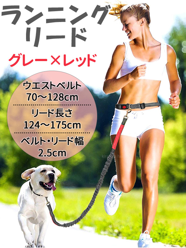 楽天市場 リード 犬 伸縮 ハンズフリー 腰に巻けるリード 124 175cm ランニングリード ジョギングリード ウエストリード 伸縮リード 反射リード 犬用 小型犬 中型犬 大型犬 散歩 送料無料 Yu キラキラハイム