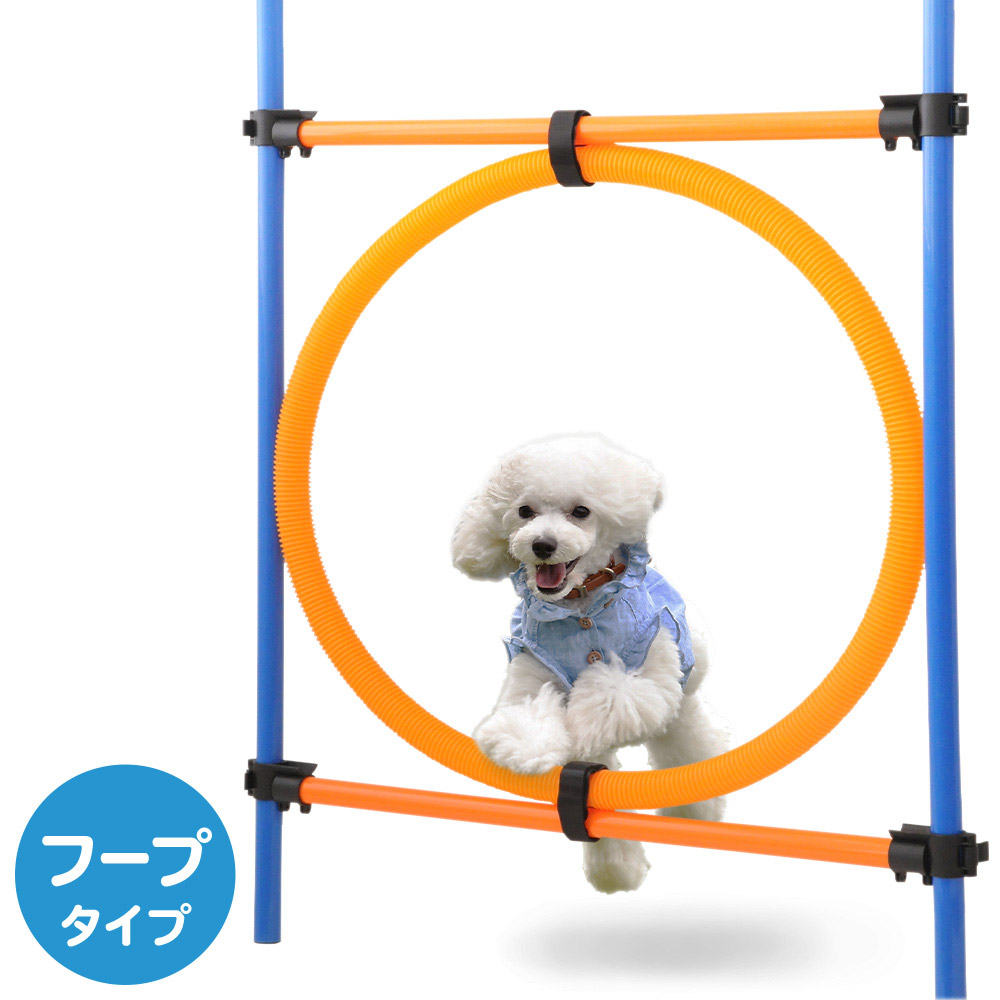 楽天市場】【5%OFFクーポン対象☆10月30日限定】 トンネル 犬 アジリティ 全長300cm 猫 ドッグ アジリティトンネル ドッグラン 訓練  練習 トレーニング 障害物訓練 しつけ 競技 運動器具 屋外 遊び 送料無料 : キラキラハイム