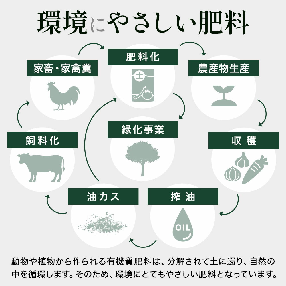 楽天市場 5 Offクーポンあり 9 19 00 9 23 59 有機肥料 肥料 野菜 堆肥 野菜用 有機乾燥肥料 15kg 草花 特殊 肥料 有機質肥料 たい肥 貝殻石灰 石灰入り 有機物 鶏糞 魚粉 Yok オーガニック肥料 1500g 送料無料 キラキラハイム