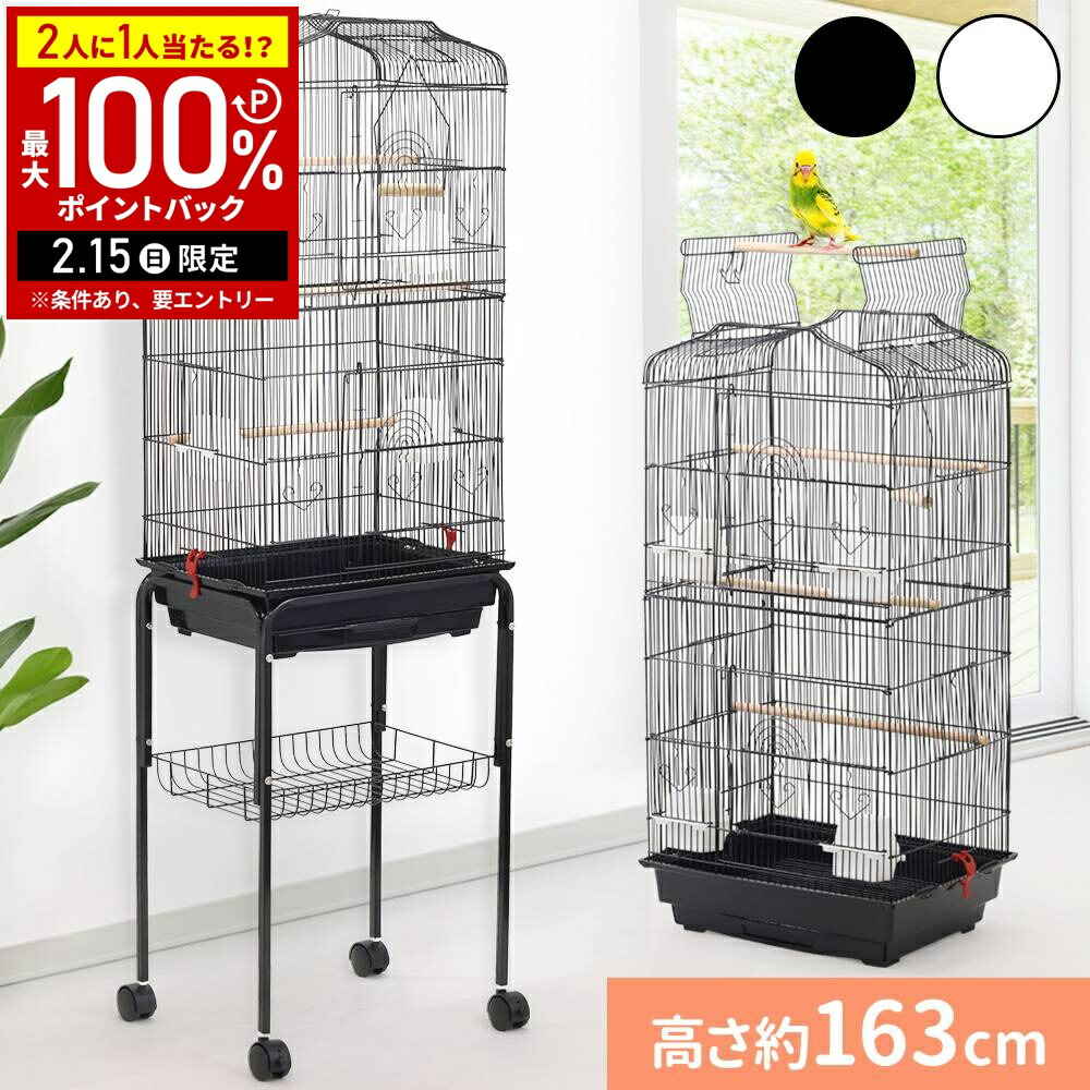 楽天市場】【LINE登録ですぐ使えるクーポン配布中】 止まり木 鳥の