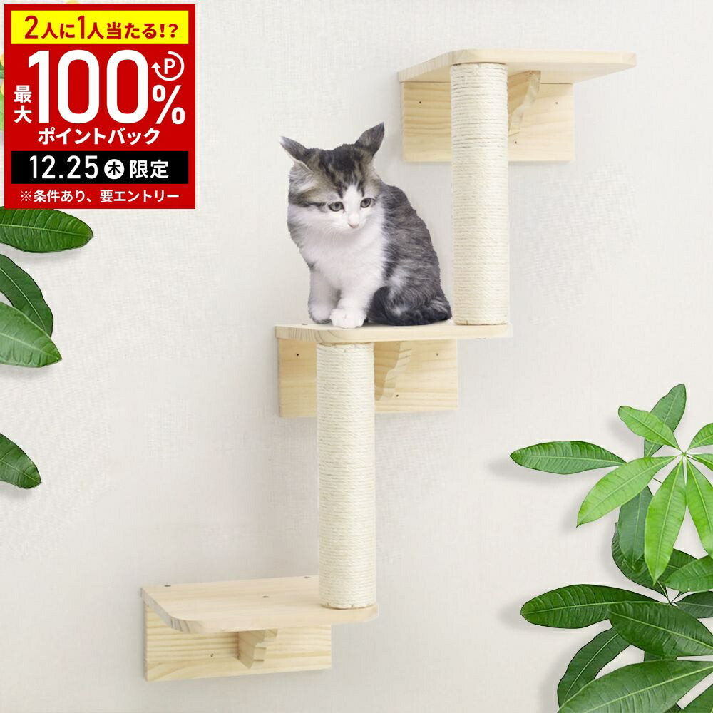 楽天市場】【当選確率1/2抽選で最大100%ポイントバック25日限定】 猫