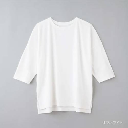 【竹布特典】タックフレア―Tシャツ ピンクベージュ 【ナファ生活研究所】 楽天市場】【竹布特典】TAKEFU タックフレア—Tシャツ ピンク