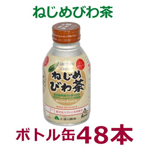 ねじめびわ茶ボトル缶 （290ml×48本）※送料無料（一部地域を除く）※同梱・キャンセル・ラッピング不可
