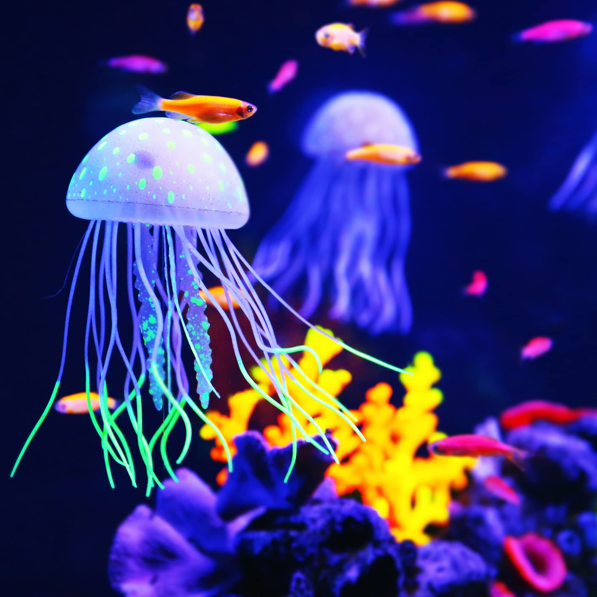 水槽 クラゲデコレーション シリコン 蛍光 クラゲグローオーナメント水族館装飾 吸盤付き 2.6"x4.5" 紫｜キラリラ店