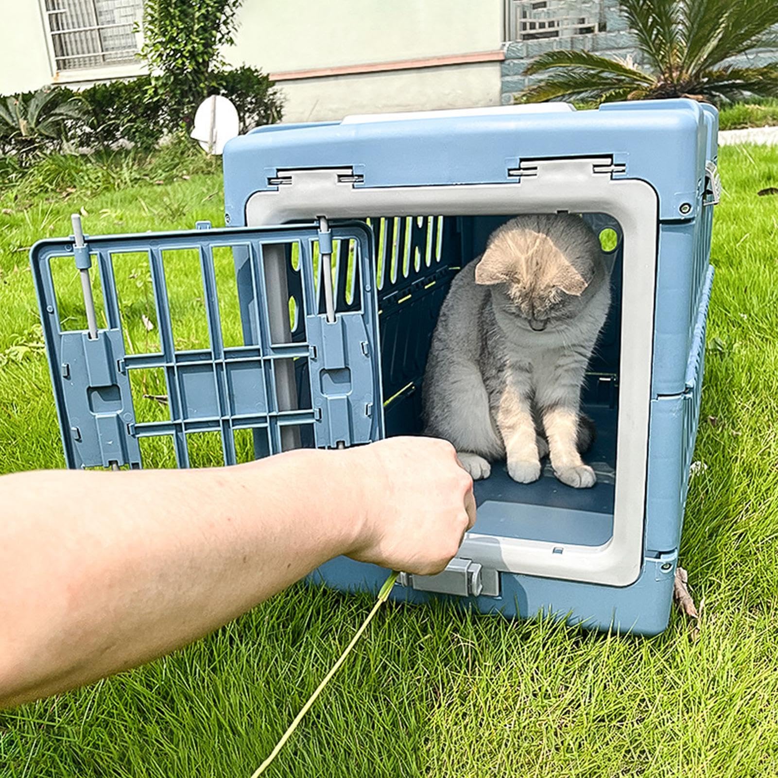 ポータブル犬用キャリア、折りたたみ式ペットキャリア | 折りたたみ式猫キャリアケージ - 旅行、外出、キャンプ、航空機の航空輸送用のベントデザインのペットキャリーツール|キラリラ店