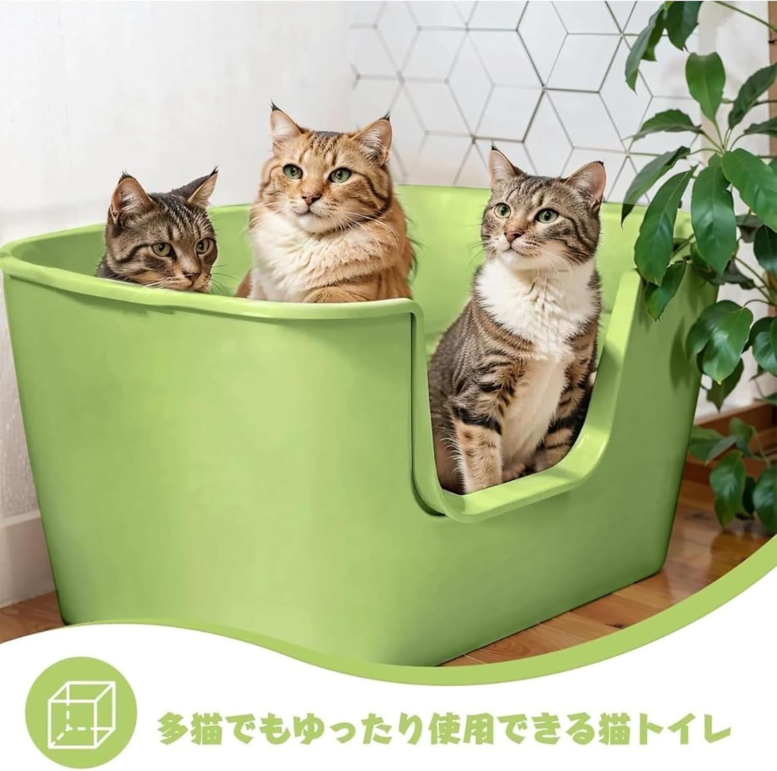 猫室内用便器 大型 猫用室内用便器本体 好いたらしい広広とした 公公然たる印字機 入り口・入口低め 頼もしい ねこ 惜しみ無い 飛散押しとどめる 押し並べて組み立てる お洗い濯ぎ ラクラク (ライトグリーン) 日用品雑貨・文房具・手芸-その他