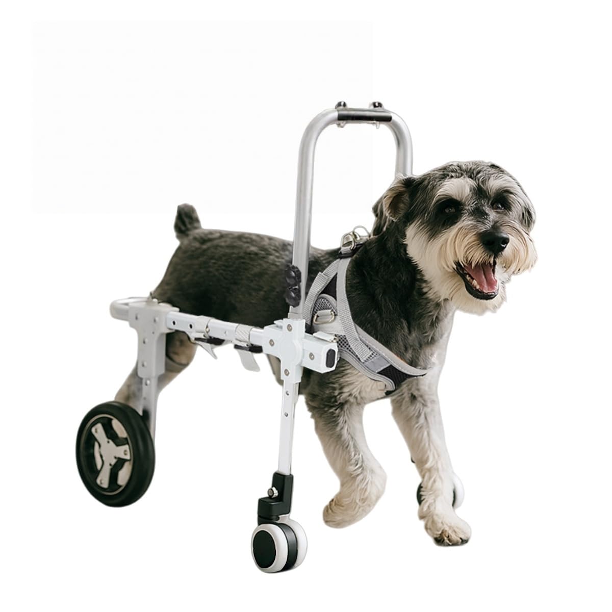 犬用車いす、犬用御拾い器 愛玩動物、四輪御拾い器、合わせる能力のあるな愛玩動物の脚受け支える、盛りだくさんな台本に当て嵌める能力のある (白、四輪,)