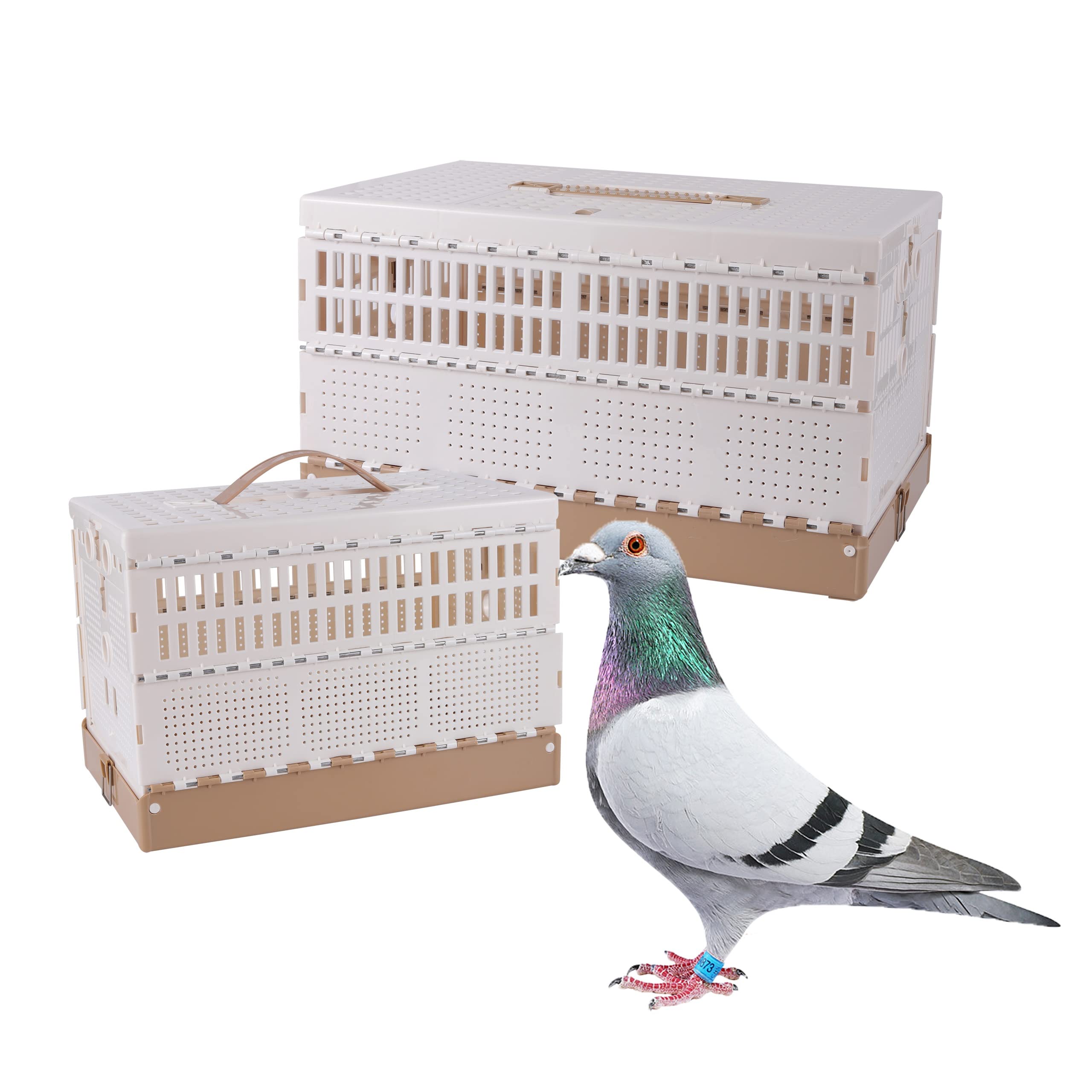 可塑性物質折りたたみピジョン伏せ籠 携帯型 愛玩動物 鳥 旅行伏せ籠 鳩伏せ籠 ペアリングケージ 鳩の蜂の巣 洗い濯ぎが飾り気の無い 読み合わせると解きはなす用 引きくらべる用 (M)(3部屋の入り口)