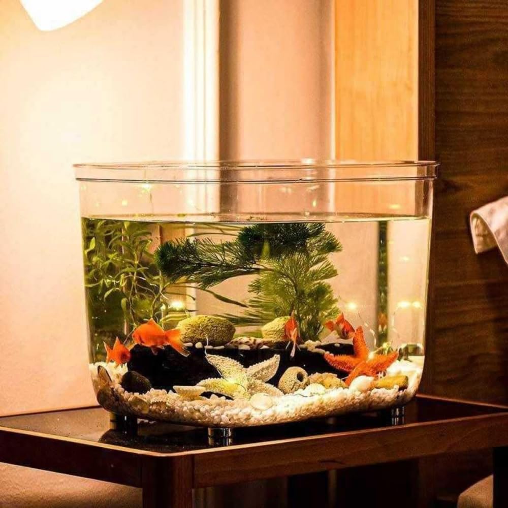 透明アクリル水槽、家庭用金魚水槽、メダカの飼育や観賞植物の栽培に適しており、室内装飾に最適です。｜キラリラ店