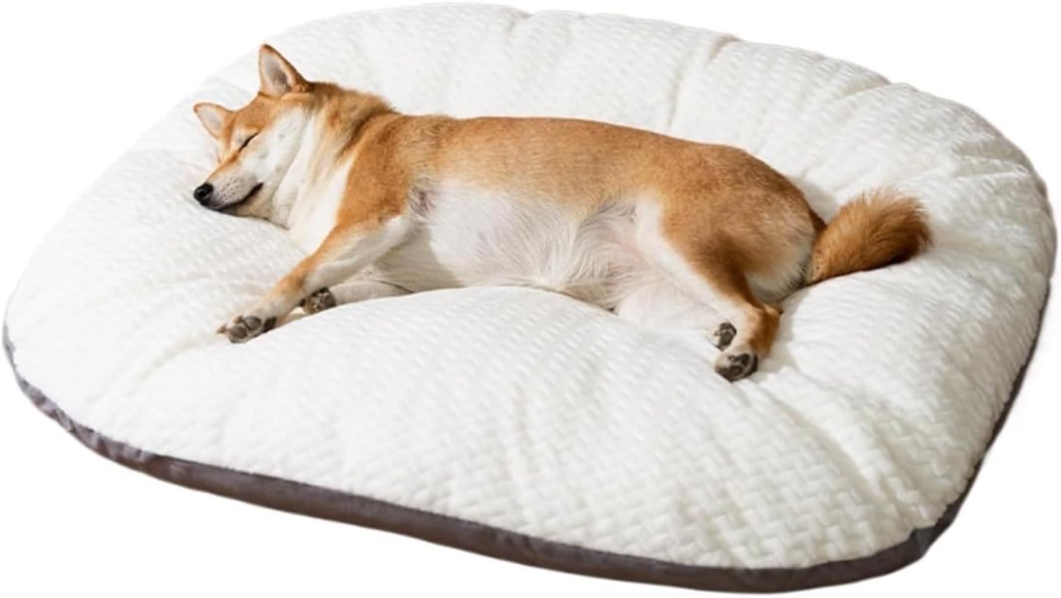 パステル色の 犬 臥榻 洗える 取りはらい能力のある 猫用 愛玩動物臥榻 ふわふわ 冬 座布団つや消し 中大型犬に当て嵌める 速乾 ()