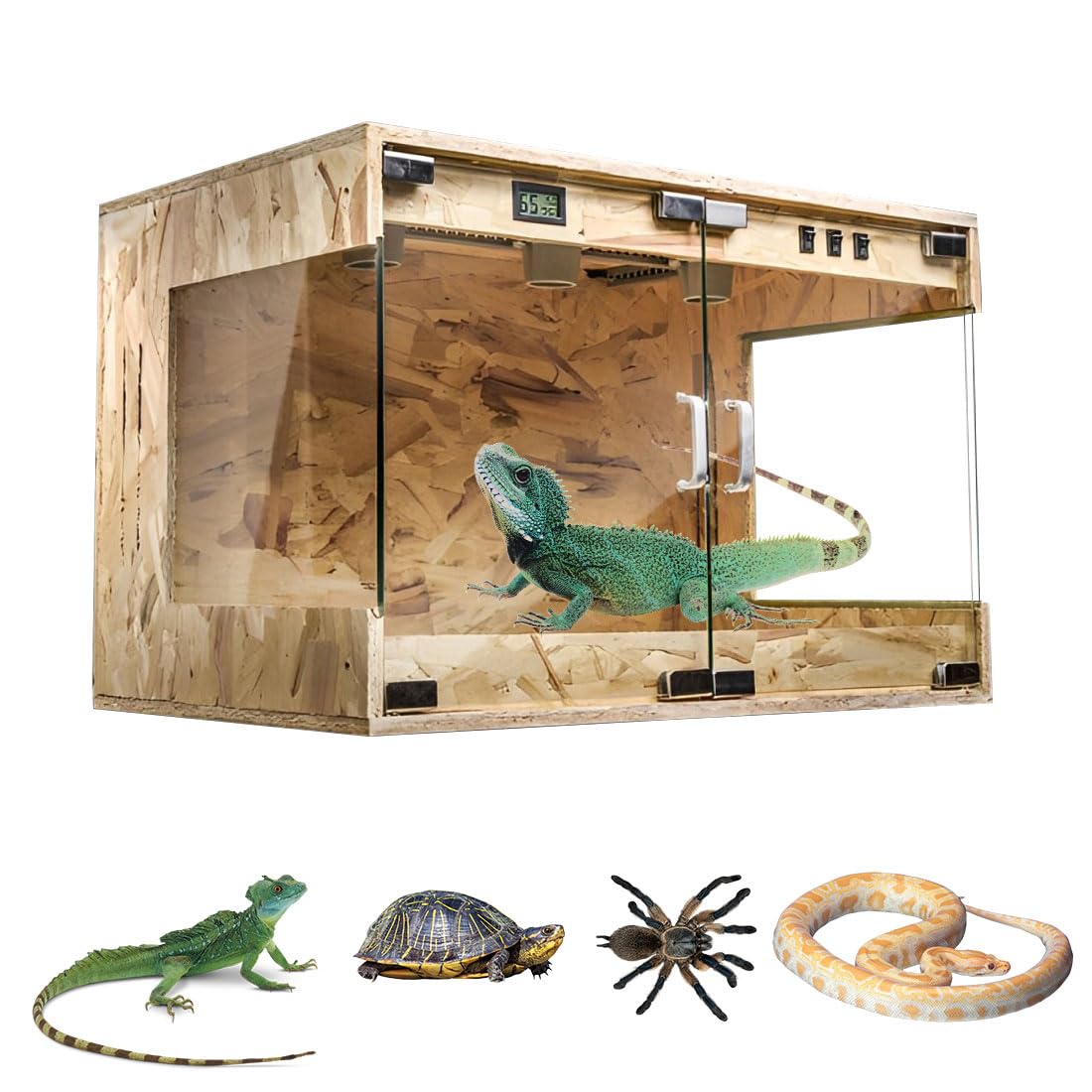 楽天市場】□ メーカー欠品【エキゾテラ】レオパ飼育キット M EXOTERRA