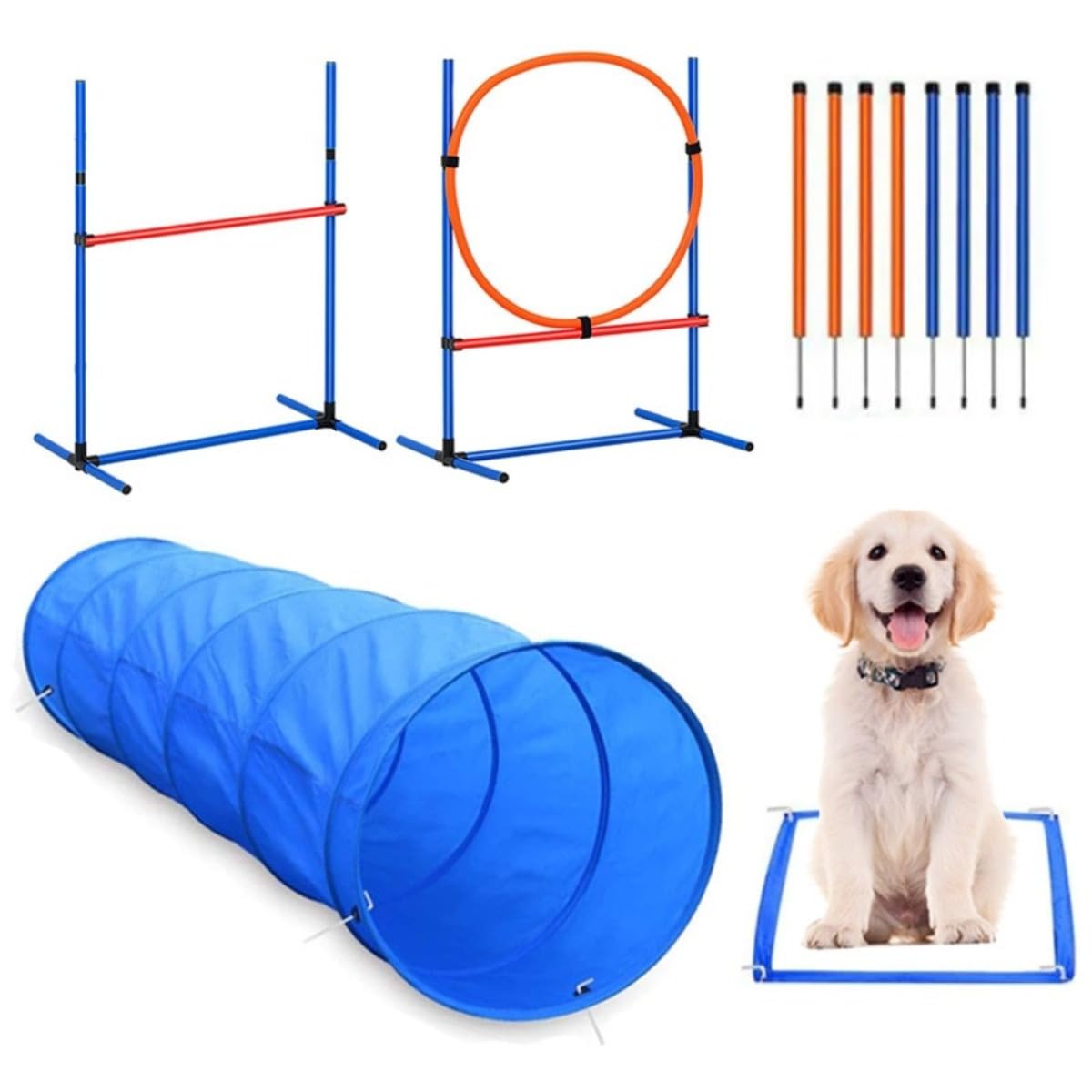 楽天市場】犬の運動器ペットランPR720F【中〜大型犬用ルームランナー