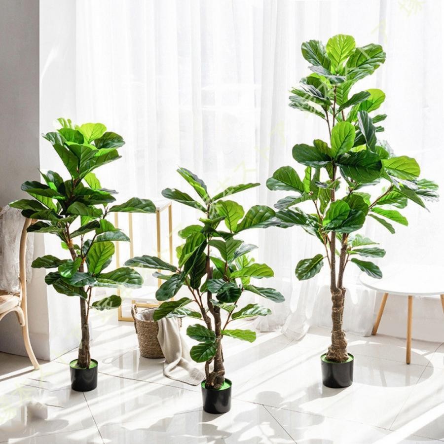 人工観葉植物 初心者向け ウンベラータ 観賞用人工盆栽 観葉樹 造花 鉢植え 水やり不要 害虫駆除不要 本物そっくり 誕生日 屋内 オフィス インテリア 新生活|きらりライフ
