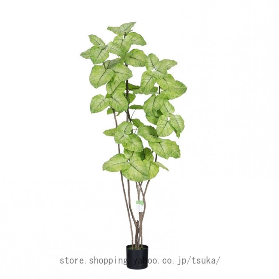 ウンベラータ 人工観葉植物 本物そっくり 大型 室内用 グリーン装飾 金運アップ 風水 おしゃれ インテリア 大きい ギフト プレゼント お祝い 育てやすい｜きらりライフ