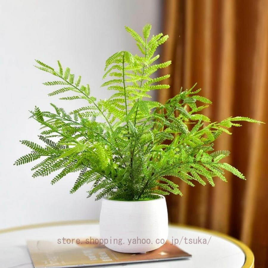 人工盆栽 フェイクグリーン 人工観葉植物 フェイク観葉植物 ミニ 室内用 シンプル 本棚 玄関 オフィス 室内 インテリア 自宅 隅 リアル お祝い 開店祝い｜きらりライフ