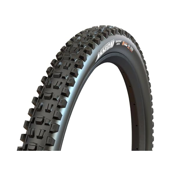 Assegaiタイア: 29?x 2.50、折りたたみ、60tpi、3?C MAXXGRIP、Tubeless Ready, Wide Trail、黒いこと