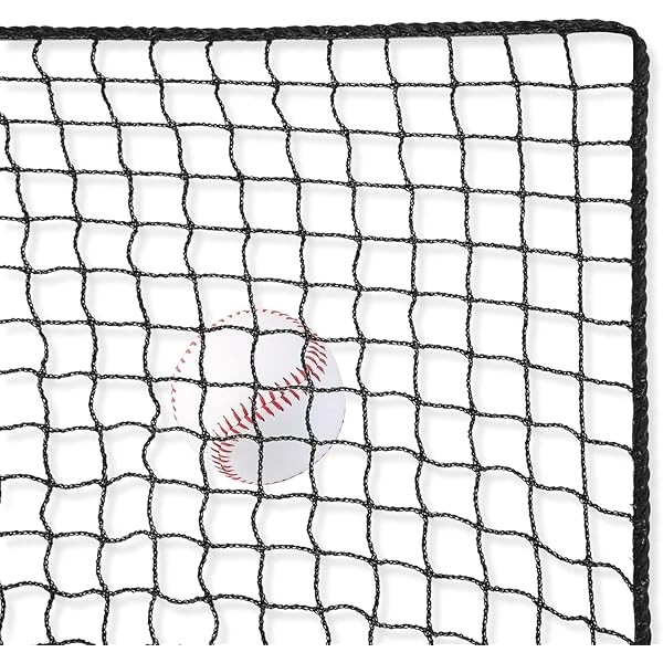 3m×9m 硬式･軟式用ベイスボールサイバー空間 ベイスボールバッティングトレーニングネットソフトボールバックストップネットヘビーデューティースポーツネットバリアベイスボールサイバー空間後庭のフィールドホッケー、ベイスボール、蹴球の読み合わせる用の殴ることと据え付ける