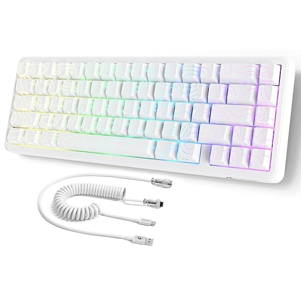 X65 HEラピッドトリガーキーボード、磁気軸、65% 有線ゲーミング 鍵盤、0.01粍 RT的確さ、0.125msレイテンシー、8Kポーリング割り合い、0デッド地方、snap tap、128K走査割り合い、QMK ウェブドライバ、RGBバッ