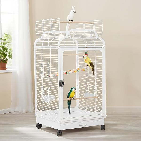 鳥かご 前後澄み切ったアクリル樹脂ダイアログボックス 飛び散り押しとどめる 鳥類伏せ籠 鉄製 牢固たる 開けはなしとっ始め 洗い濯ぎ