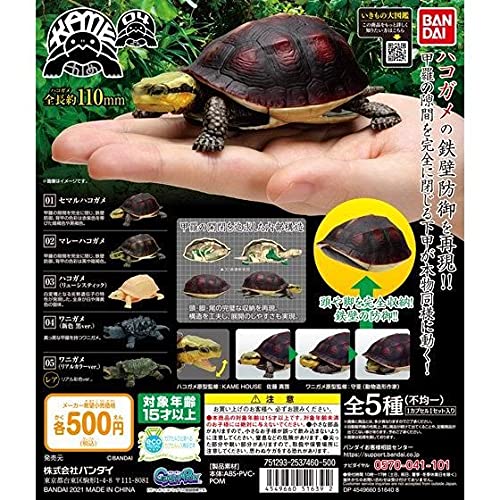 亀　フィギュア　ガチャ　バンダイ　ミルキーカラー　赤目 亀フィギュアガチャバンダイミルキーカラー赤目