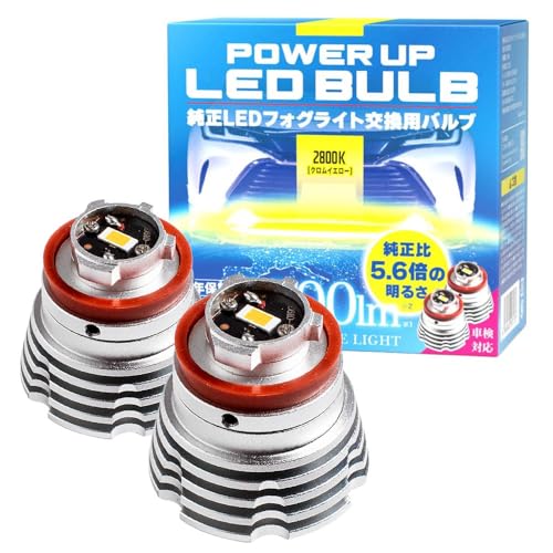 博士！ 020250103141132.jpg