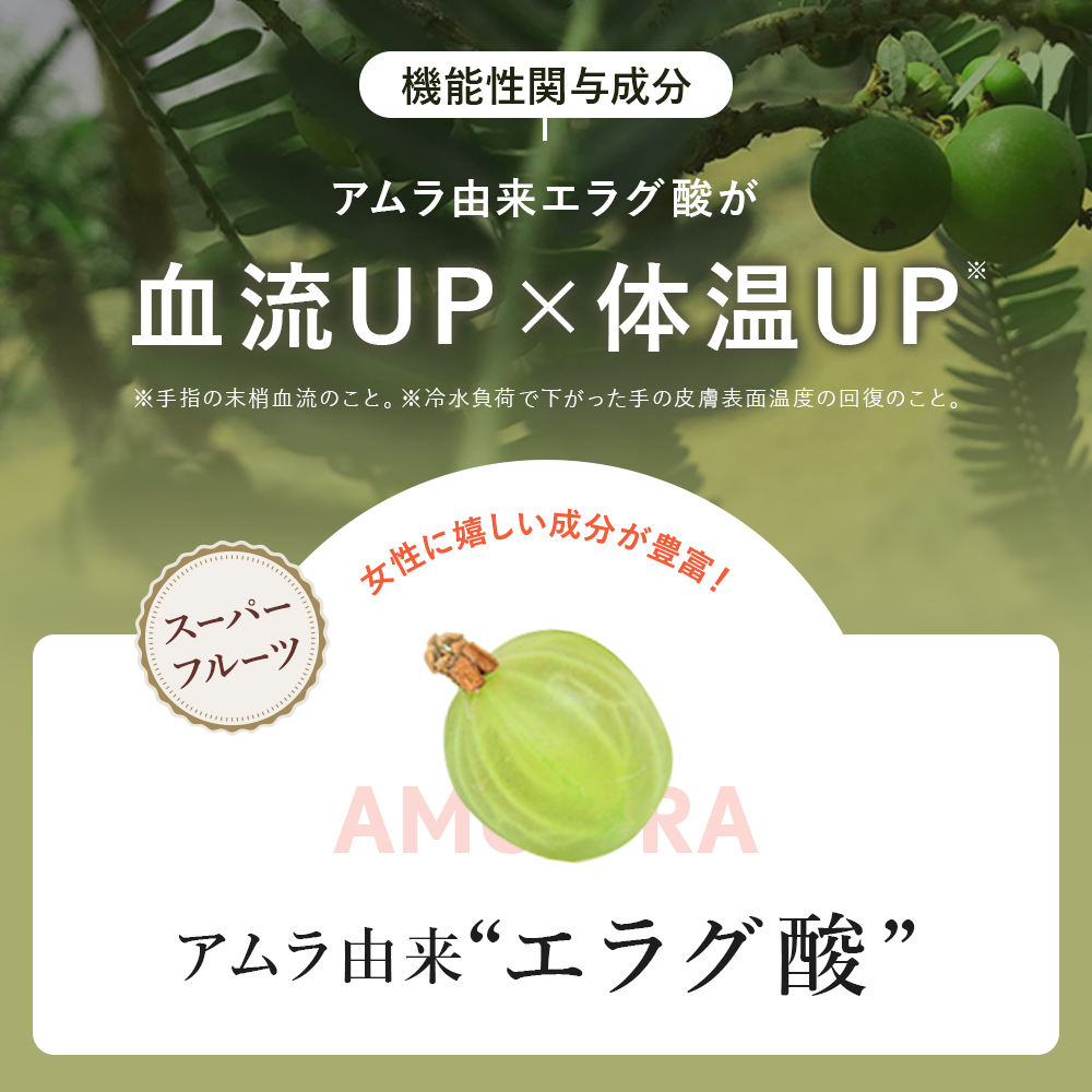 SLILIN F スリリンファイアダイエットサプリ 90粒 2個 スリリンファイア SLILIN F 90粒 温活 脂肪燃焼 皮下脂肪