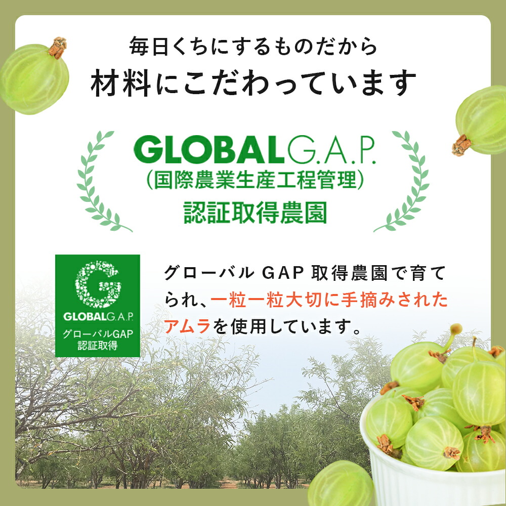 スリリン ファイア ( 1袋 90粒 ) 温活 脂肪燃焼 ダイエットサプリ