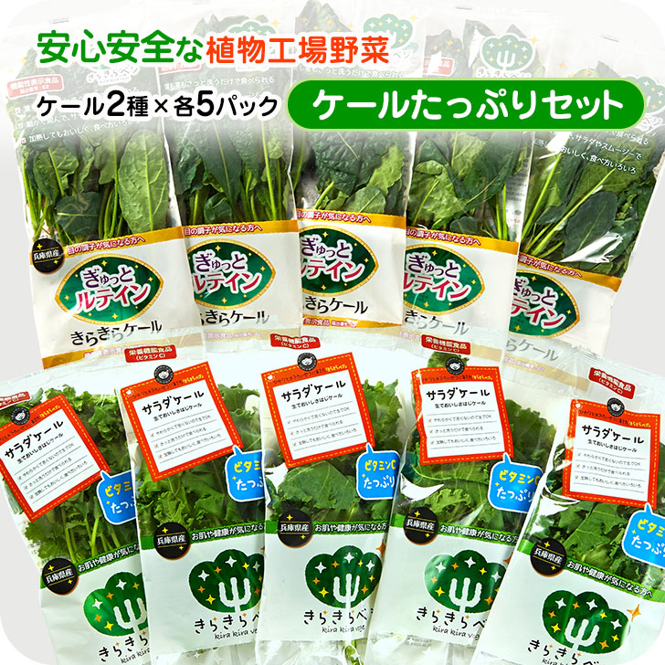 【楽天市場】きらきらベジ 2種類のケールセット 野菜セット 送料