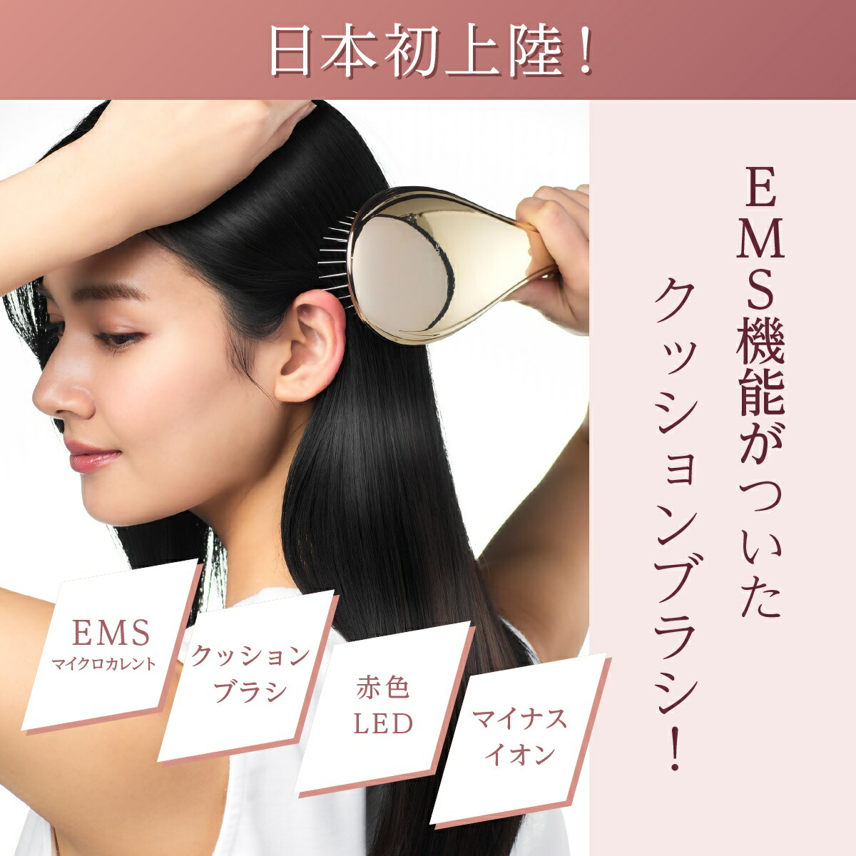 楽天市場】【7/25限定2人に1人最大100%P】【選ぶ景品付き