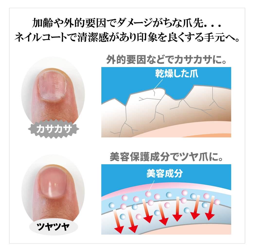 楽天市場 エントリーでp2倍 Bro For Men Nail Coat 4ml メンズ ネイルケア ポスト投函で送料無料 メンズ ネイルコート 爪保護 くすみ 乾燥 ネイルケア 爪保護美容成分 美容健康 雑貨 きれいになーれ