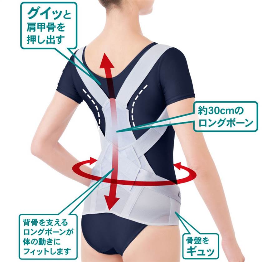 お医者さんのがっちり背すじベルト　アルファックス　男女兼用