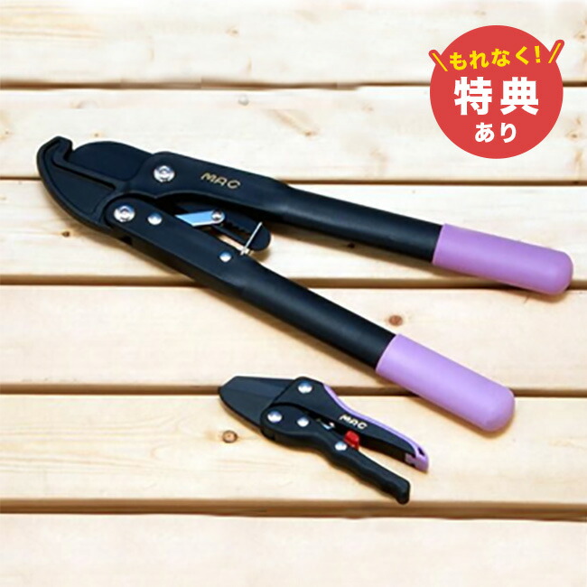継続期間制限事項！百貨店大売り出し