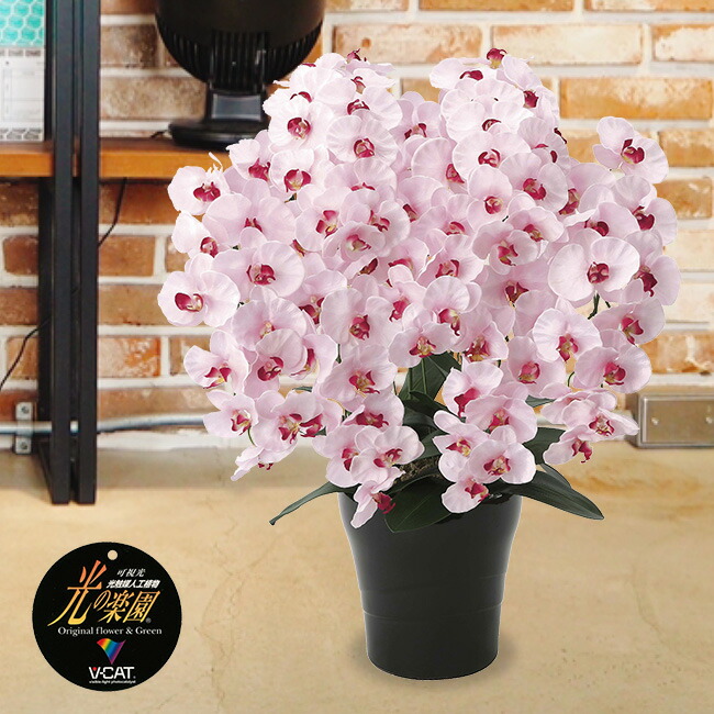 光の楽園 プレミアム胡蝶蘭7本立 胡蝶蘭 お祝い 飾り 造花 観葉植物 お花 ギフト 光触媒 フェイクグリーン 贈り物 プレゼント はなやか 豪華 鉢植え 大輪 インテリア 祝い事 引っ越し祝い 新築祝い 開店祝い オフィス 母の日 父の日 メーカー直送 1 2w Psicologosancora Es