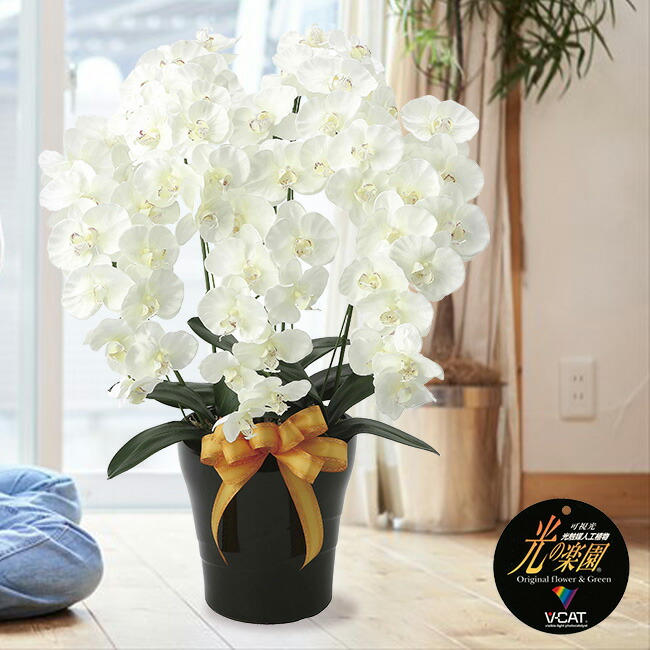 光触媒 はなやか 造花 造花 胡蝶蘭 5本 お祝い 花 開店祝い 植物 開業祝い 開店祝い おしゃれ かわいい 結婚祝い 出産祝い フラワーギフト フラワー オフィス こちょうらん コチョウラン 光の楽園 プレミアム胡蝶蘭5本立ｗ 胡蝶蘭 お祝い 飾り 造花 観葉植物 お花 ギフト