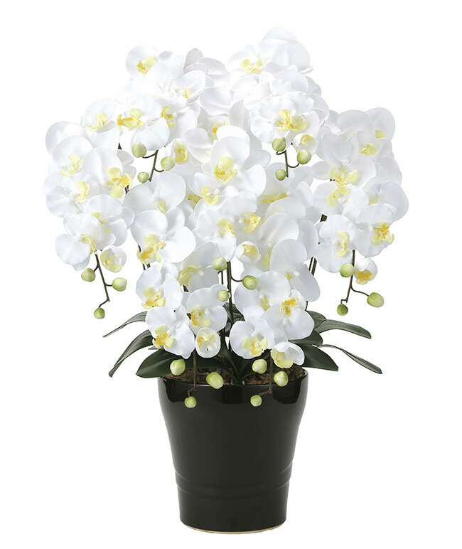 光の楽園 キング胡蝶蘭7本立 胡蝶蘭 お祝い 飾り 造花 観葉植物 お花 ギフト 光触媒 フェイクグリーン ホワイト 白 白色 贈り物 プレゼント はなやか 豪華 鉢植え 大輪 インテリア 祝い事 引っ越し祝い 新築祝い 開店祝い 母の日 父の日 メーカー直送 1 2w septicin Com