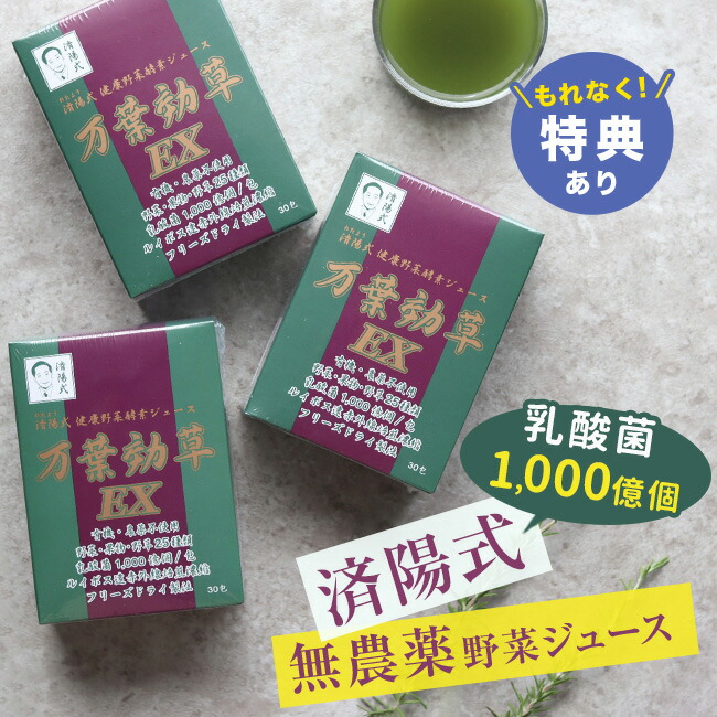 【特典あり】済陽式 万葉効草EX 《3箱セット》 [青汁 乳酸菌 酵素 西台クリニック 済陽高穂 院長先生共同開発 乳酸菌入り 人気の酵素 青汁 済陽 高穂 健康野菜 健康野菜ジュース 酵素ジュース] 即納