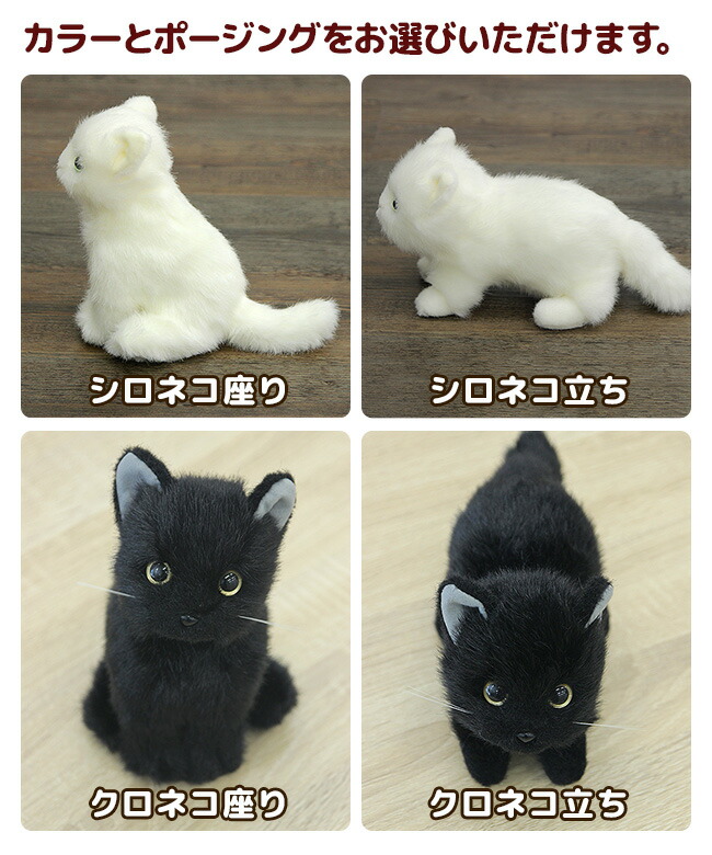 【ギフト対応無料】日本製 リアル 猫のぬいぐるみ 子猫 20cm[リアル ぬいぐるみ ネコ 猫 ねこ 癒し かわいい いやし猫] 即納｜キレイスポット