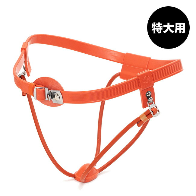 レビューで送料無料 タイヨー痔バンド 特大用 脱肛バンド 脱肛防止 脱肛 痔 サポート 家庭用医療機器 一般医療機器 医療機器 キレイスポット 50 Off Elanguageworld Com