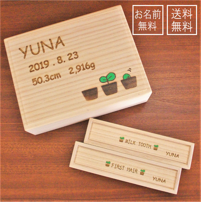 歯牙入れもの特集