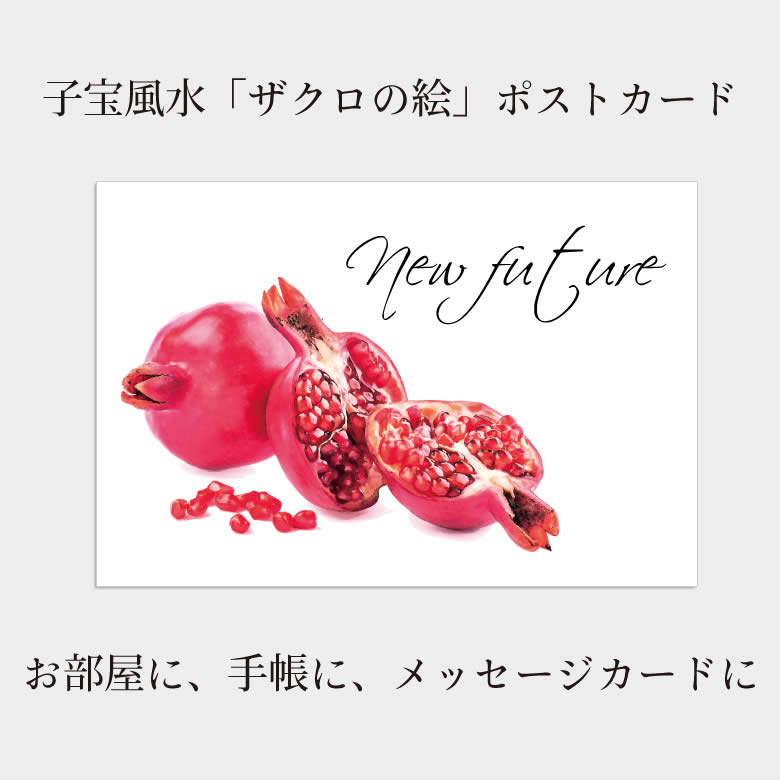 GASA* ザクロの果実の効能 / 赤い花のスカート No.781 Retro Cherry ティアードジャンパースカート