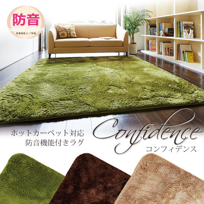 残基 政治的 船 ホット カーペット 対応 ラグ 3 畳 11 Jp