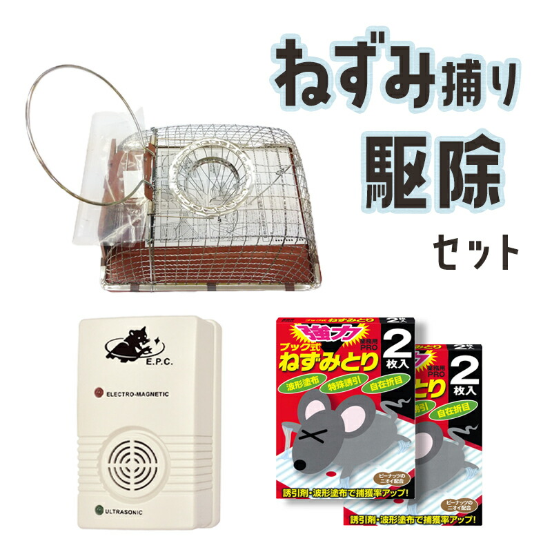 楽天市場】送料無料 ねずみ駆除に「ネズミ捕り器 チュー・ハウス型」金網製 鼠捕り器 ねずみ捕り器 ネズミ取り器 ねずみ取り器 ネズミ対策 ネズミ駆除  捕獲器 カゴ 籠 かご あす楽 : きりやま 楽天市場店