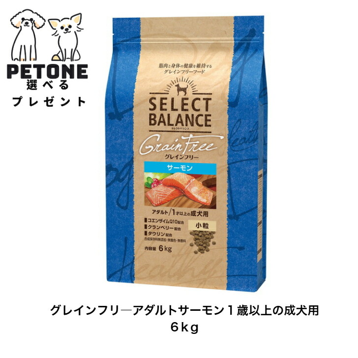 【尖んがり１０倍＆10％オフクーポン別れ別れ中】より分ける平衡にする グレインフリー 成年者 秋味 微粒子 １才以上の成犬用 6ｋｇ 置き目品 ドッグフード 素っ気ないボンネット 犬のごはん 成犬