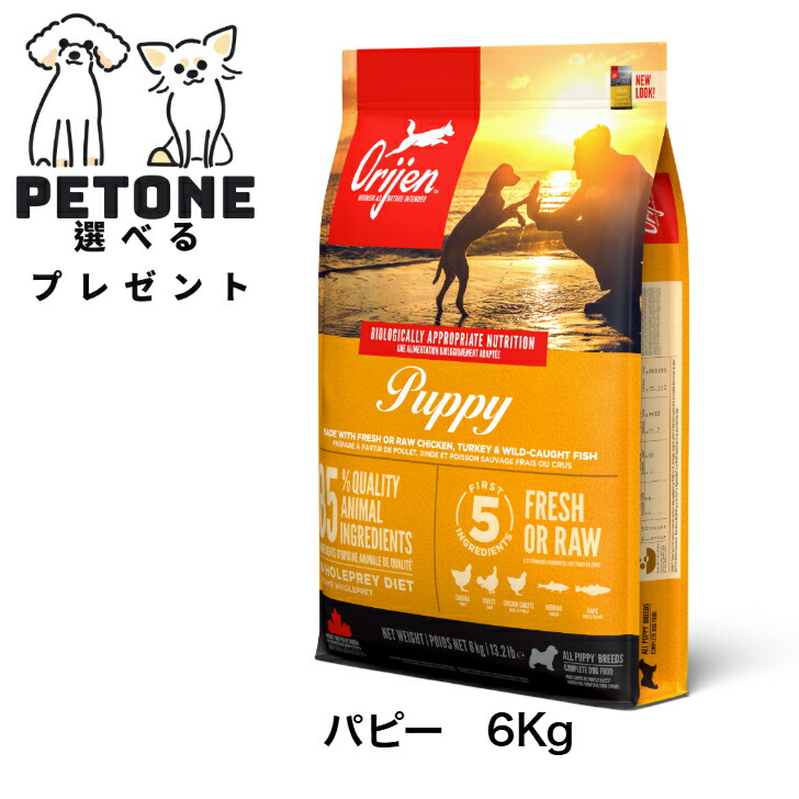 オリジン パピー ドッグフード　6kg オリジン・ドッグフード パピー PET DINING