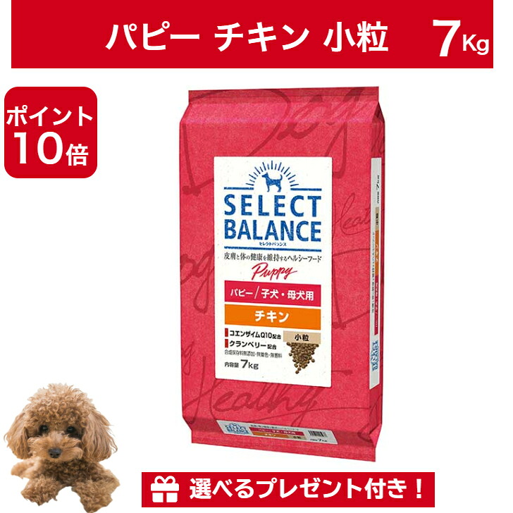 【ポイント１０倍＆10％オフクーポン配布中】セレクトバランス パピー チキン 小粒 子犬 母犬 7kg 正規品 ドッグフード ドライフード 犬のごはん 犬｜PET ONE