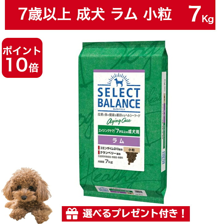 【ポイント10倍&10%オフクーポン配布中】セレクトバランス エイジングケア ラム 小粒 7才以上 成犬用 7kg 正規品 ドッグフード ドライフード 犬のごはん 成犬|PET ONE