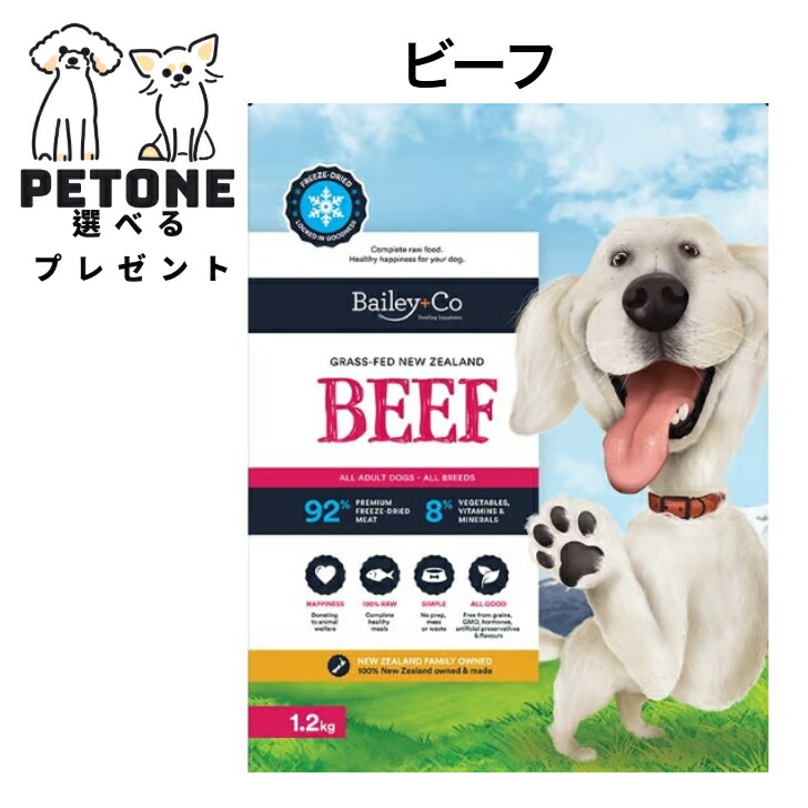 【尖んがり10倍】 Bailey+Co すくみ上がる素っ気ない コンプリートビーフ 1200g からだ願望すること